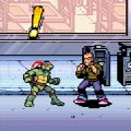 Игра Игра TMNT Advance