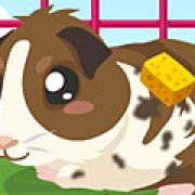 Игра Игра Уход за морской свинкой / Guinea Pig Care