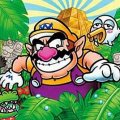 Игра Игра Wario Land 4